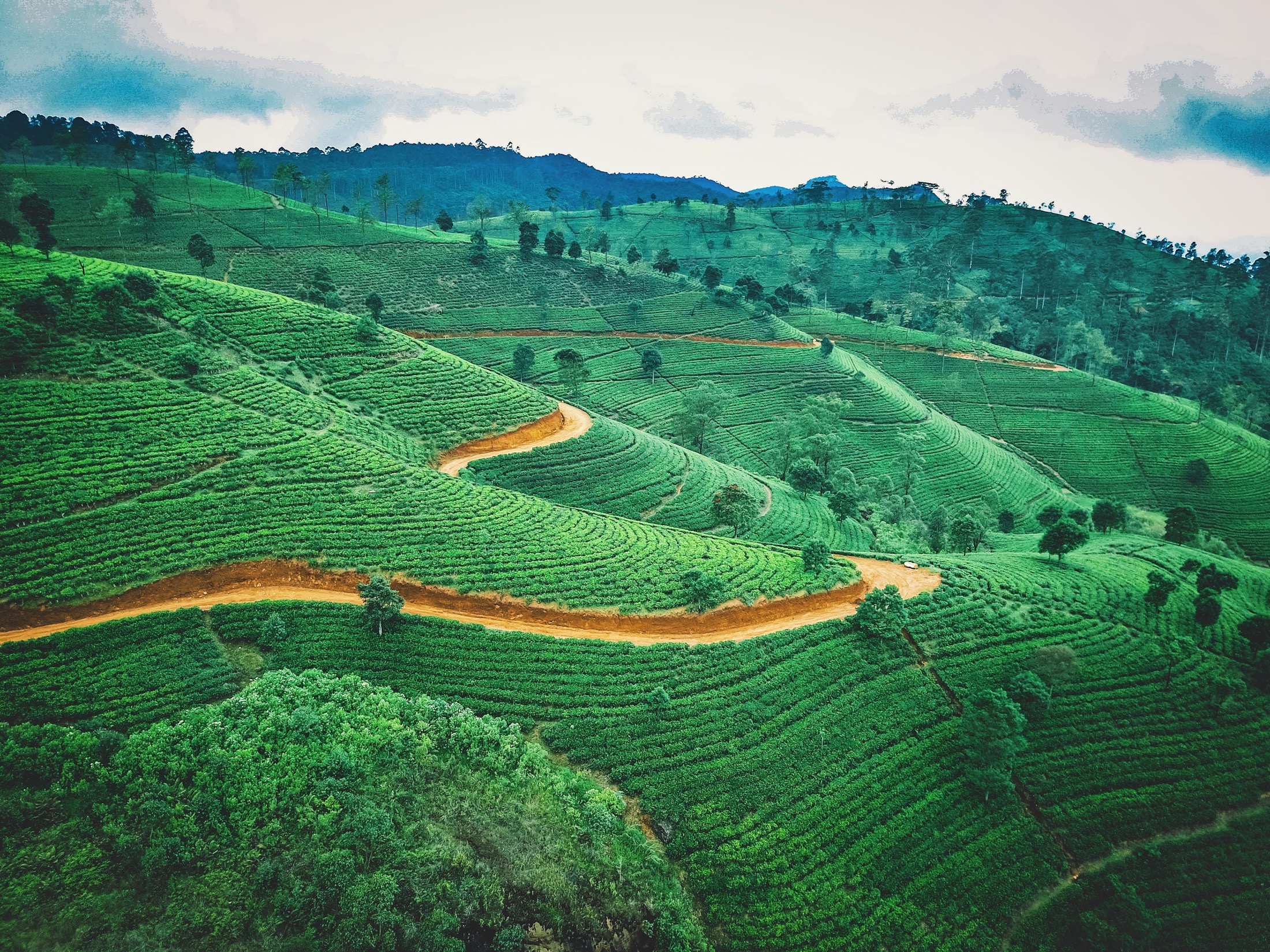 Le golf au Sri Lanka : trois parcours, trois mondes