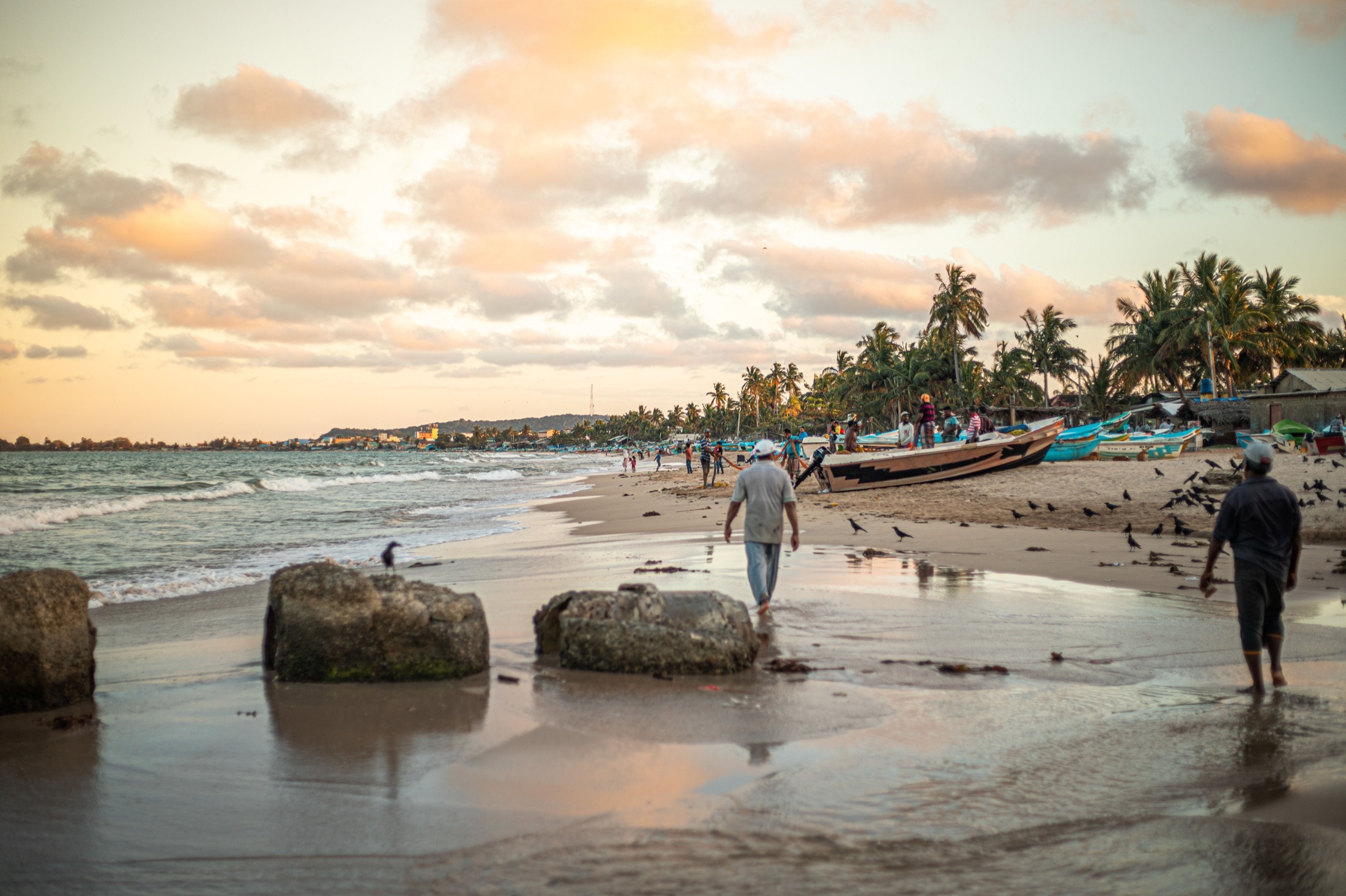 Quand partir au Sri Lanka ? La météo région par région