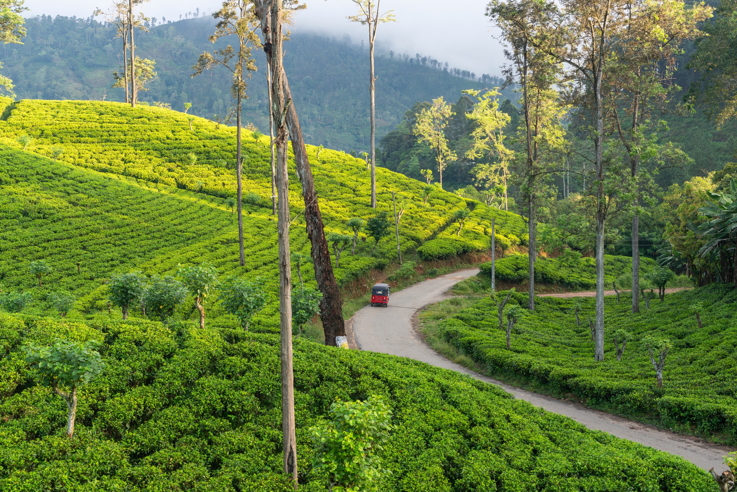 Une inspiration pour Le Sri Lanka Authentique