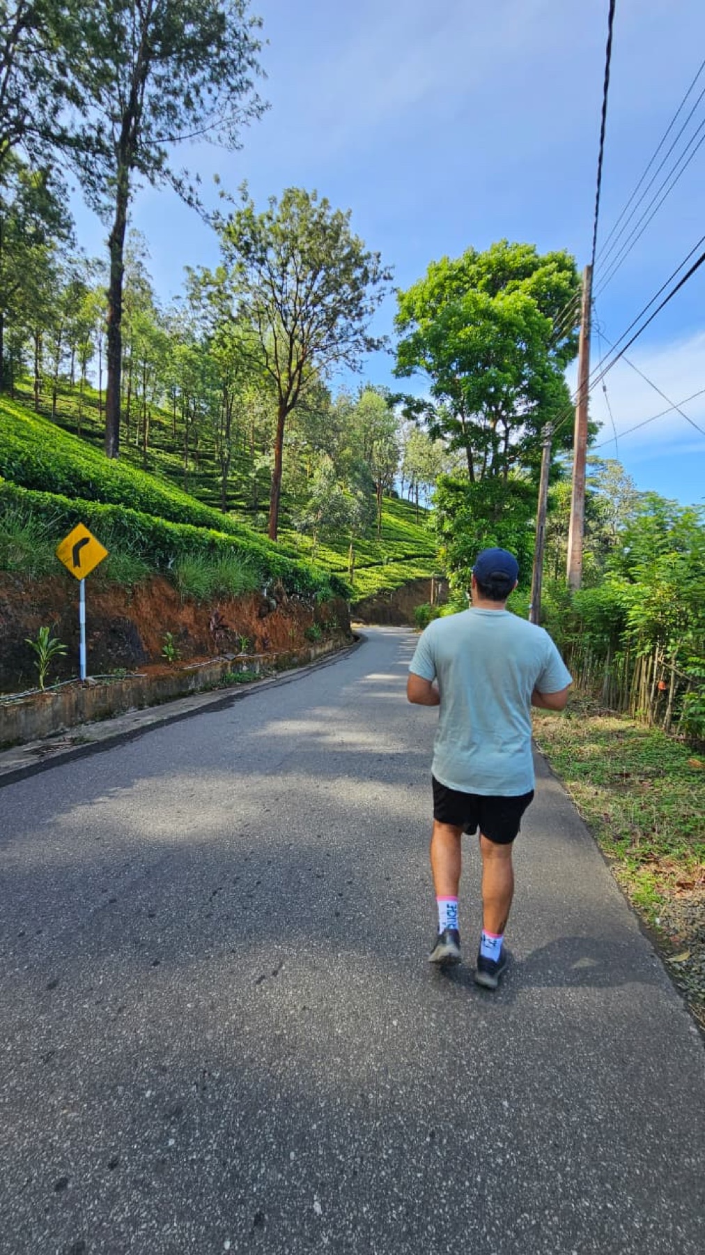 Mathieu sur une route bordée de plantations de thé